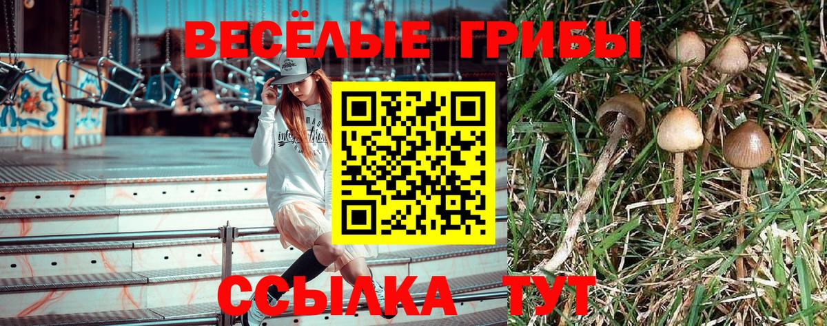 Галлюциногенные грибы MAGIC MUSHROOMS  магазин продажи   Балабаново  Вход с VPN 